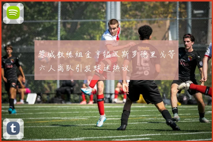 蓉城教练组金亨镒汉斯罗德里戈等六人离队引发球迷热议